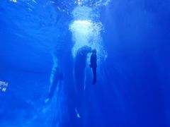 -多彩贵州城极地海洋世界