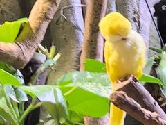 -正佳雨林生态植物园