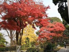 -上海市保健医疗中心(华东疗养院)