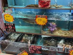 -尚竹阁冬瓜盅·18年地标美食(平洲店)