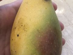 -上海龙吴水胜海发市场