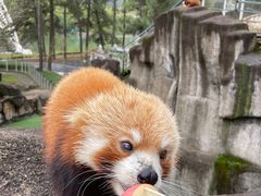 -安吉竹博园