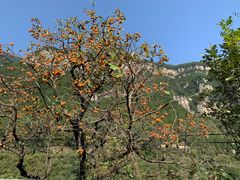 -云丘山景区