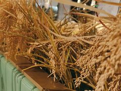 -皖香览约·徽菜(新湖广场店)