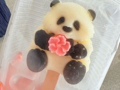 -成都动物园