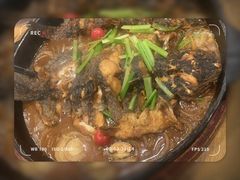 -老板恋上鱼(高新万达店)