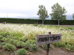-富田农场