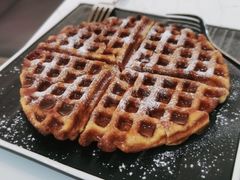 -喵园·猫主题咖啡厅·撸猫·猫咖(国贸店)