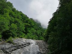 -青峰峡国家森林公园