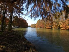 -上海海湾国家森林公园