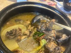 -蘑统田下·野生菌火锅