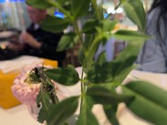 -桂满陇·杭州饭店(清河万象店)