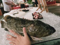 石斑鱼-渔家火锅·海鲜自助餐·演艺(亚龙湾天域酒店)