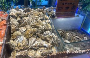 Drunk Oyster Delight
