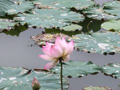 -黄河小浪底水利枢纽风景区