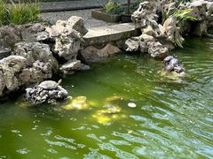 -普陀山风景名胜区-法雨禅寺