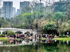 -重庆彩云湖湿地公园