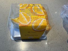 -卡萨米亚动物奶油生日蛋糕(新都汇店)