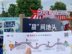 -菊园百果园