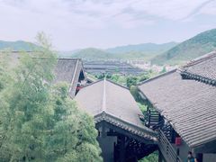 -大唐贡茶院