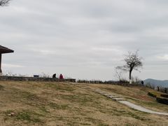 -东山风景区(洞庭东山)