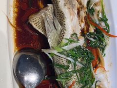 -院里寻菜·精致庭院菜(观沙岭店)