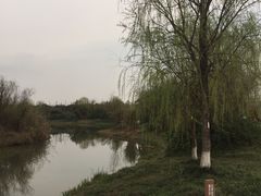 -白鹭湾湿地公园