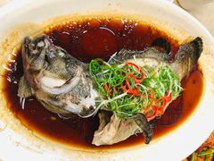 清蒸石斑鱼-肥仔文澳门猪骨煲(南京西路店)