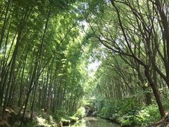 -同里国家湿地公园