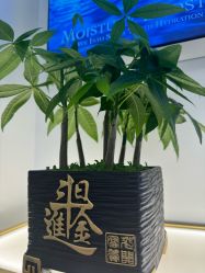 -YESIDO椰岛美容