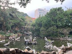 -叶家花园