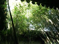 -张家港凤凰山景区河阳山歌馆