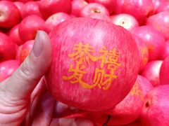 -chi K11艺术空间展览厅