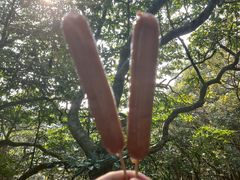 -梧桐山风景名胜区