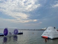-碧海金沙