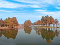 -贡湖湾湿地公园