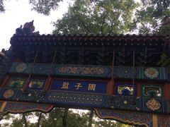 -北京国子监胡同