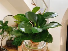 -森野花艺培训·企业团建活动沙龙