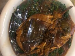 -莆鑫海鲜城(浏河店)