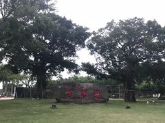 -万绿园