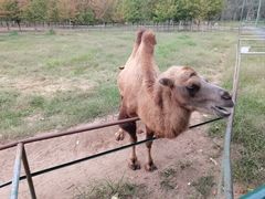 -秦皇岛野生动物园