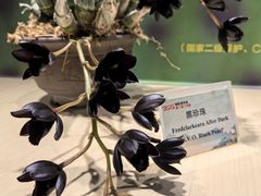 -北京植物园-展览温室