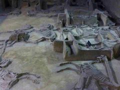 -洛阳周王城天子驾六博物馆