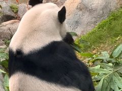 -香港海洋公园