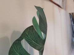 -倦勤咖啡(中山南路店)