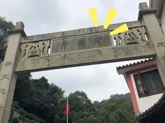 -十八棵（老龙井）御茶园(老龙井店)