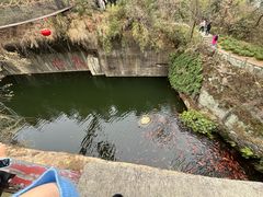-千岛湖东南湖区