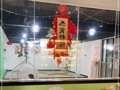 -Husky Go! 哈士奇体验馆·宠物咖啡厅狗咖