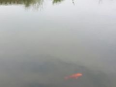 -天赐温泉