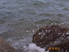 -厦门邮轮中心厦鼓码头(轮渡站)